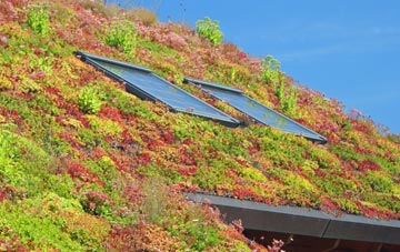 Balmaclellan living roof systems