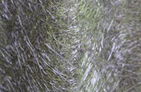 Balmaclellan fibreglass roof work